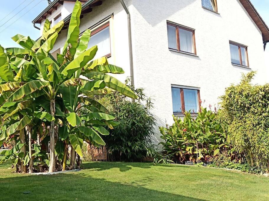 Ferienwohnung Wiesental 89331 Burgau, Wiesentalstrasse 1 Экстерьер фото